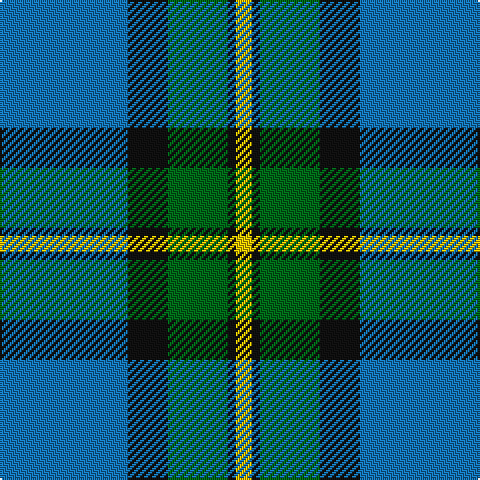 B/64 K20 G30 K4 Y/8 tartan Tartan detail