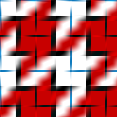 Tartan detail