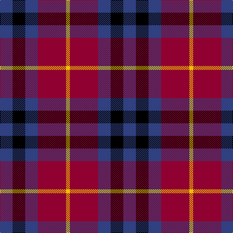B/26 K26 B26 DR58 Y/8 tartan Tartan detail