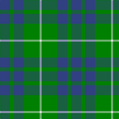 B/40 G16 B40 G64 LN/8 tartan Tartan detail
