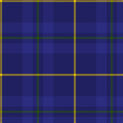 G/8 DB16 DBa40 DB80 Y/8 tartan Tartan detail