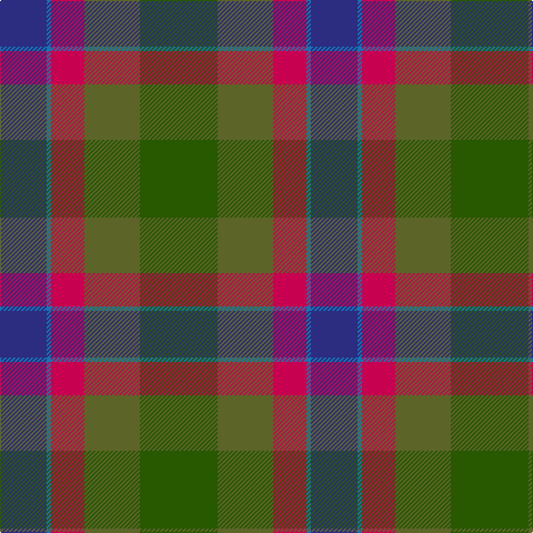 Tartan detail