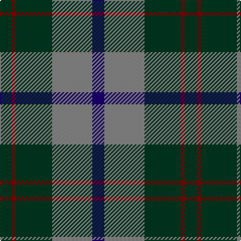 DG/12 DR4 DG36 N40 DB/12 tartan Tartan detail