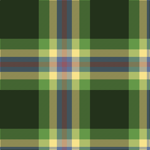 Tartan detail