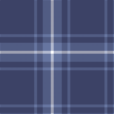 N/144 B12 N24 B34 W/12 tartan Tartan detail
