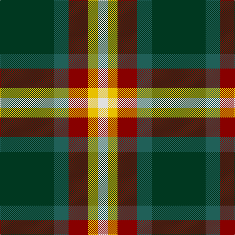 DG/110 G30 DR40 Y20 LN/20 tartan Tartan detail