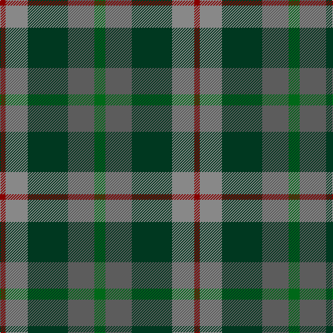DR/8 Na32 DG58 N38 G/16 tartan Tartan detail