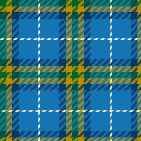 Tartan detail
