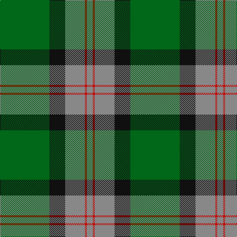 G/100 K32 N40 R4 N/12 tartan Tartan detail