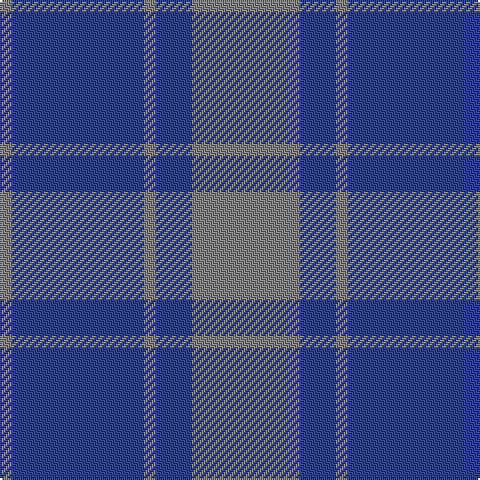 N/6 B66 N6 B18 N/54 tartan Tartan detail