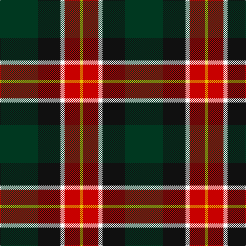 Tartan detail