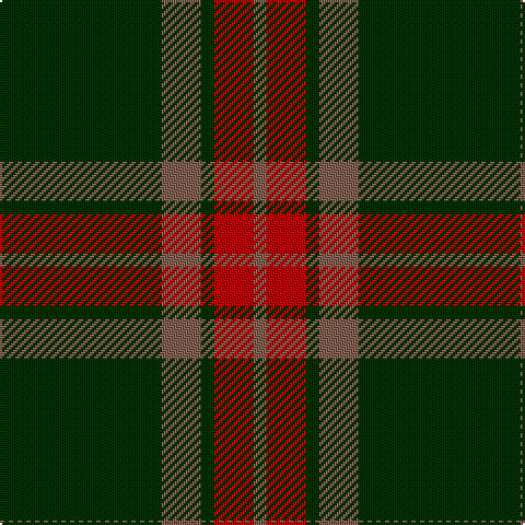 Tartan detail