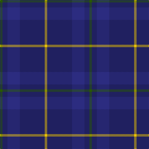 G/8 DBa16 DB40 DBa80 Y/8 tartan Tartan detail