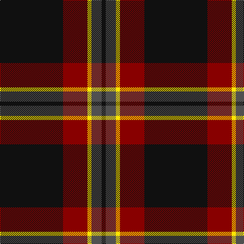 K/124 DR48 Y8 N20 K/8 tartan Tartan detail