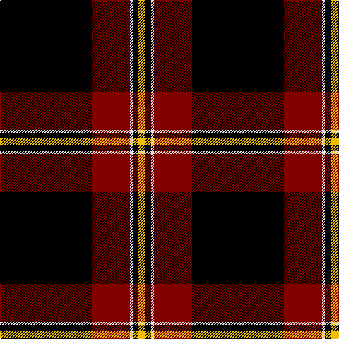 K/130 DR54 LN4 K8 Y/10 tartan Tartan detail