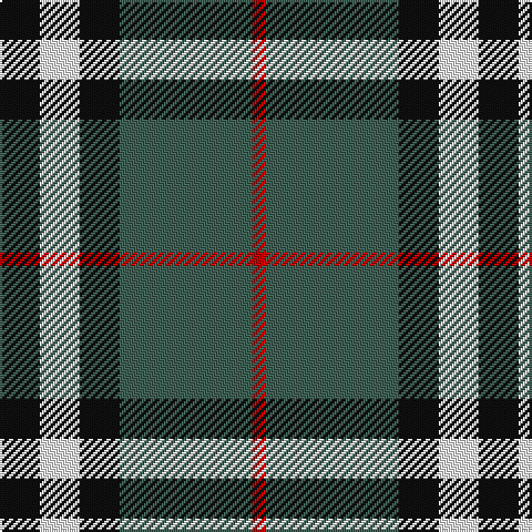 Tartan detail