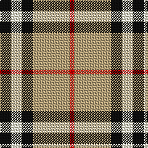 Tartan detail