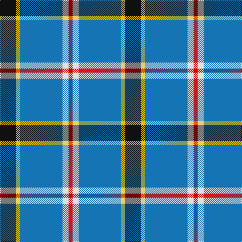 Tartan detail