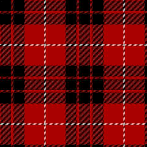 K/36 DR8 K36 DR64 N/6 tartan Tartan detail
