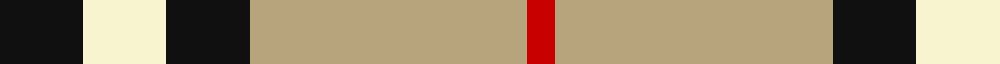 Burberry (Genuine) example sett