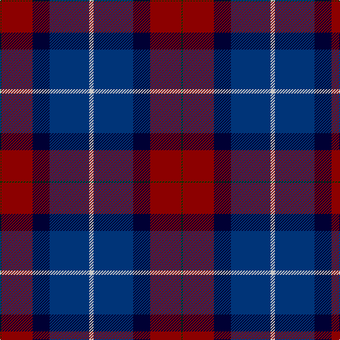 G/2 DR44 DB24 DBa56 N/6 tartan Tartan detail