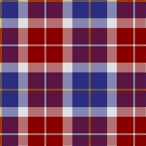 DY/6 DB54 LN32 DR54 LN/6 tartan Tartan detail