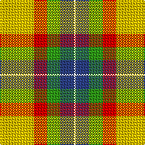 LN/4 B22 G22 R22 Y/56 tartan Tartan detail