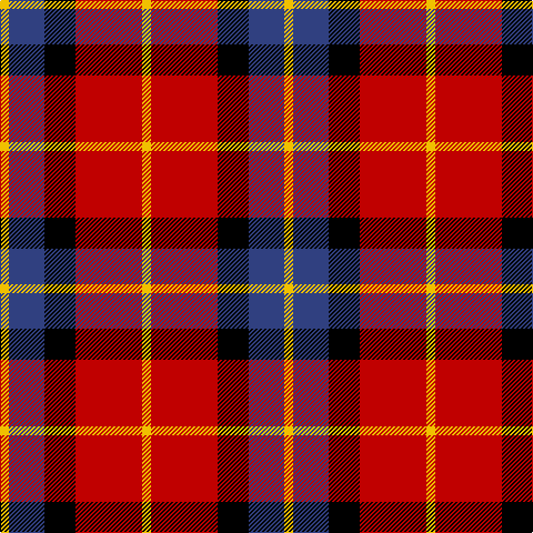 Y/8 B32 K28 R60 Y/8 tartan Tartan detail