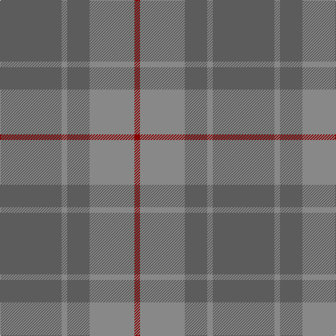 DR/8 Na64 N32 Na8 N/88 tartan Tartan detail