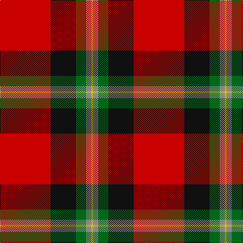R/100 K50 G20 N10 Y/4 tartan Tartan detail