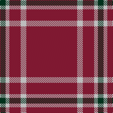 DG/12 LN8 DR24 LN12 DR/108 tartan Tartan detail