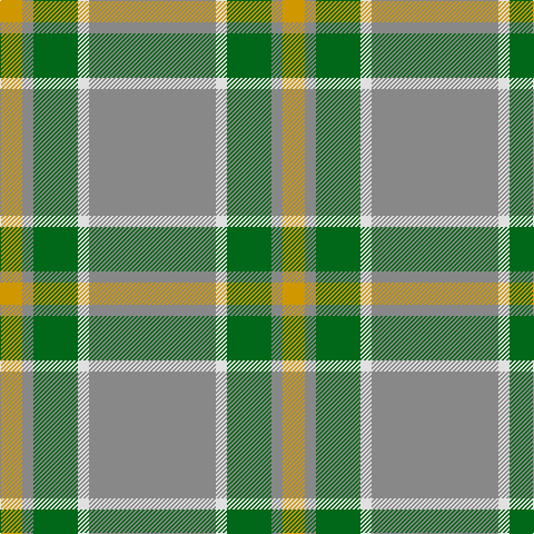 Tartan detail