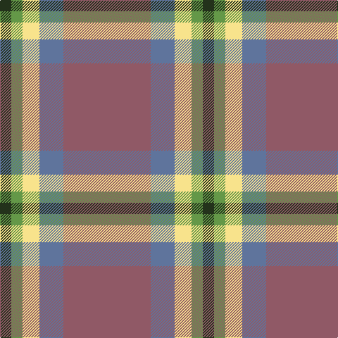 Tartan detail