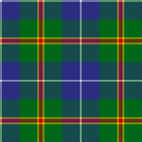 LN/6 DB60 G60 Y6 R/12 tartan Tartan detail