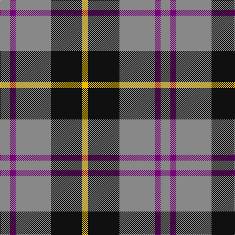 N/20 P12 N72 K64 Y/12 tartan Tartan detail