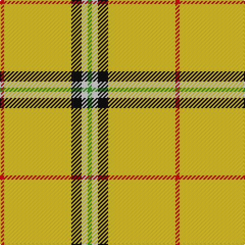 Tartan detail