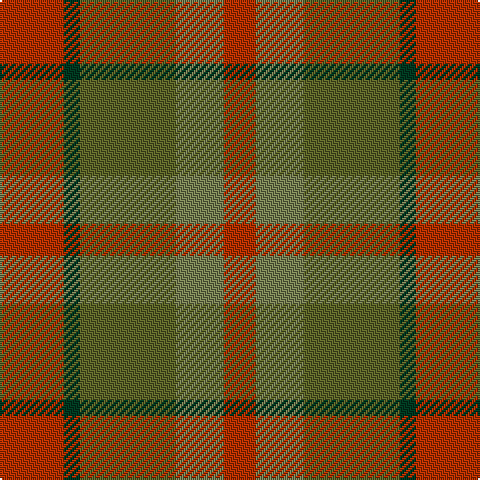 Tartan detail