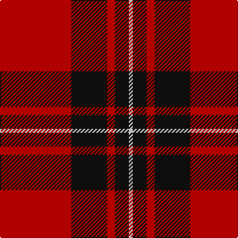 LN/4 K14 R8 K36 R/72 tartan Tartan detail