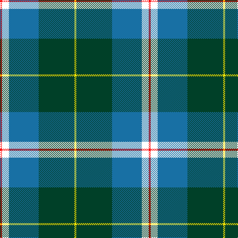 R/4 W14 B60 DG72 Y/4 tartan Tartan detail