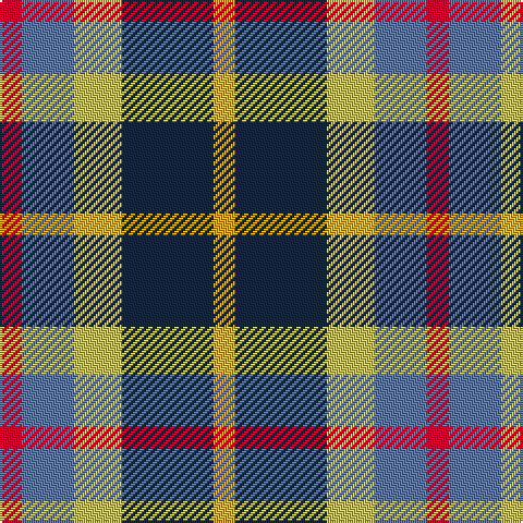 R/10 B24 LG22 DN42 Y/10 tartan Tartan detail