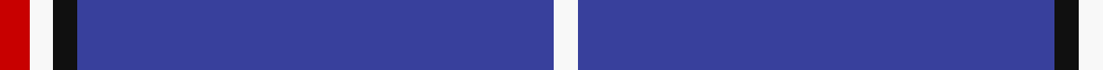 Volunteer Lifesaving Corps (Corp.) example sett