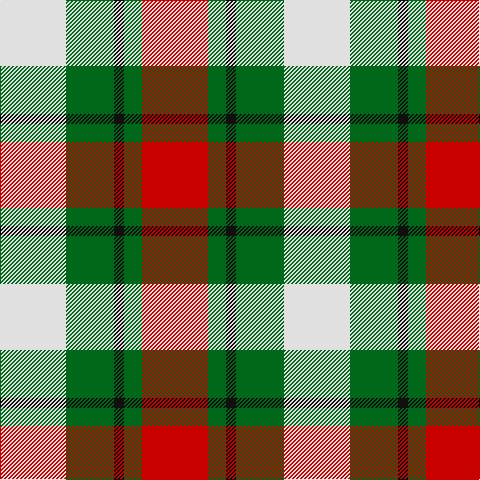 LN/66 G48 K10 G18 R/66 tartan Tartan detail