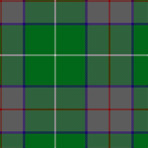 DR/6 Na68 DB8 G94 N/6 tartan Tartan detail