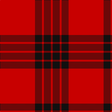 R/8 K30 R8 K30 R/150 tartan Tartan detail