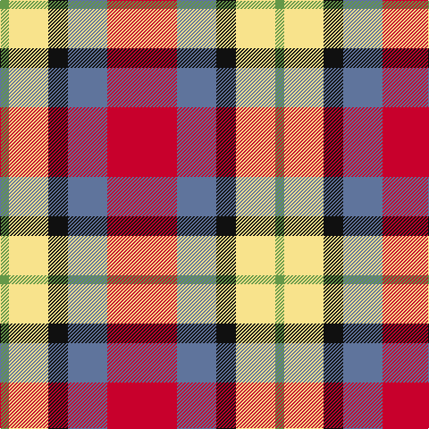 LG/10 LY44 K22 B44 R/78 tartan Tartan detail