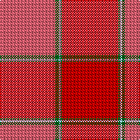 LR/95 G6 LB3 G3 R/96 tartan Tartan detail