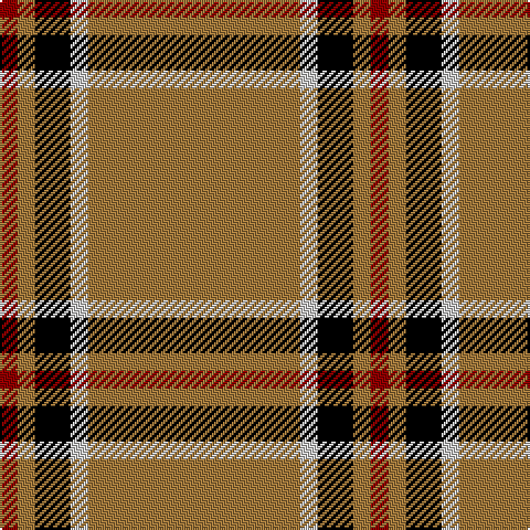 Tartan detail