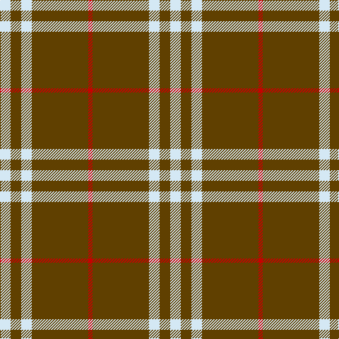 LN/15 T15 LN15 T80 R/6 tartan Tartan detail