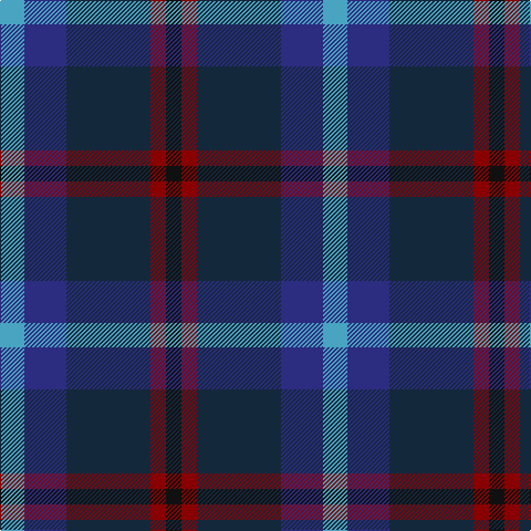 Tartan detail