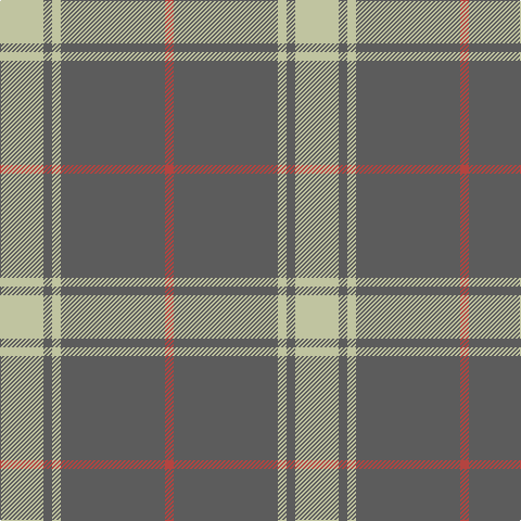 Tartan detail